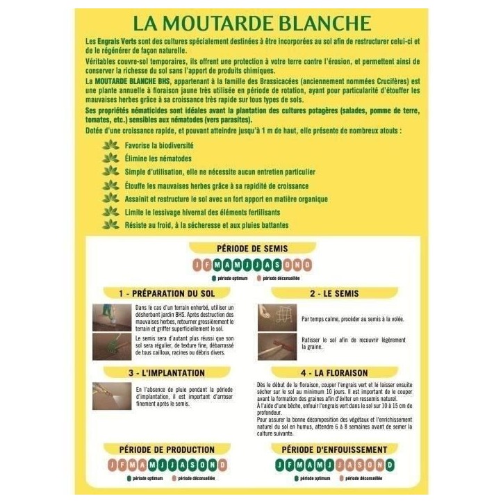 Engrais Verts - BHS - Moutarde Blanche 500g | 100 m² | Améliore et désinfecte les sols pour une meilleure fertilité.