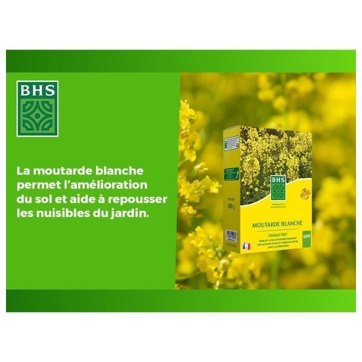 Engrais Verts - BHS - Moutarde Blanche 500g | 100 m² | Améliore et désinfecte les sols pour une meilleure fertilité.
