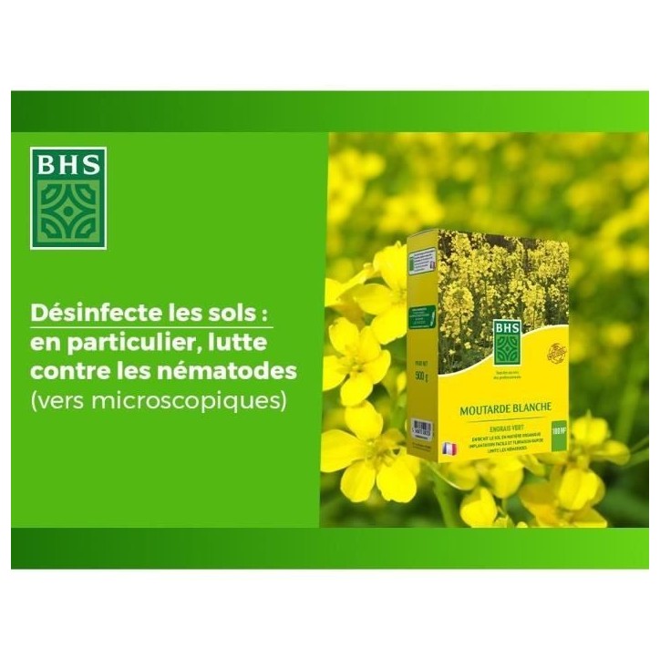 Engrais Verts - BHS - Moutarde Blanche 500g | 100 m² | Améliore et désinfecte les sols pour une meilleure fertilité.