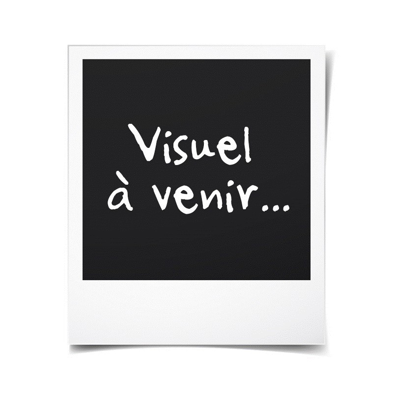 BABY EINSTEIN Aire d'Eveil a Rebonds - Symphonie- Cadeau Noel bébé,