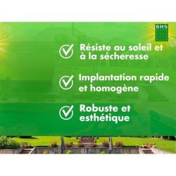 Gazon - BHS - Gazon Rustique Sud - 1kg, 40 m². Résistant aux conditi