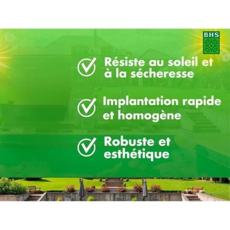 Gazon - BHS - Gazon Rustique Sud - 1kg, 40 m². Résistant aux conditions seches grâce a la fétuque élevée. Rapide et homoge