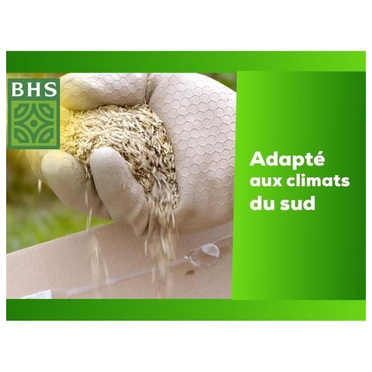 Gazon - BHS - Gazon Rustique Sud - 1kg, 40 m². Résistant aux conditions seches grâce a la fétuque élevée. Rapide et homoge