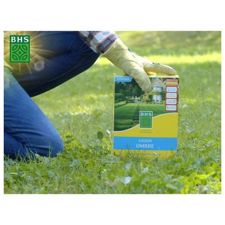 Gazon - BHS - Gazon Ombre 1kg | 40m² | Résistant a la faible luminosité et aux zones ombragées.