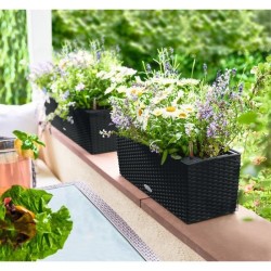 LECHUZA Jardiniere - Balconera cottage 50 - 50 x 19 x 19 - Kit complet