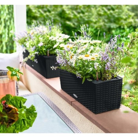 LECHUZA Jardiniere - Balconera cottage 50 - 50 x 19 x 19 - Kit complet - Noir graphite - 8 L