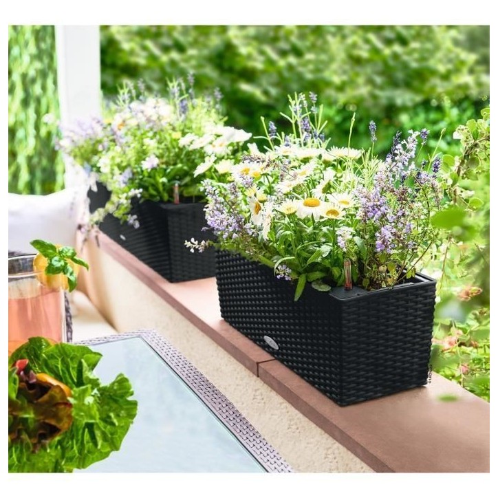 LECHUZA Jardiniere - Balconera cottage 50 - 50 x 19 x 19 - Kit complet - Noir graphite - 8 L LECHUZA Jardiniere - Balconera cottage 50 - 50 x 19 x 19 - Kit complet - Noir graphite - 8 L