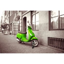 Ancre de sécurité - BURG WACHTER - SA 1280 SB - Acier, fixation mura