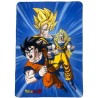 Plaid - DRAGON BALL Z - 100 x 140 cm Plaid - DRAGON BALL Z - 100 x 140 cm