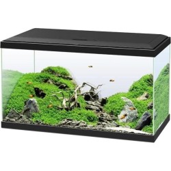 Aquarium - CIANO - 60 L - Filtre - LED - Chauffage - FOAM 30PPI - CF80