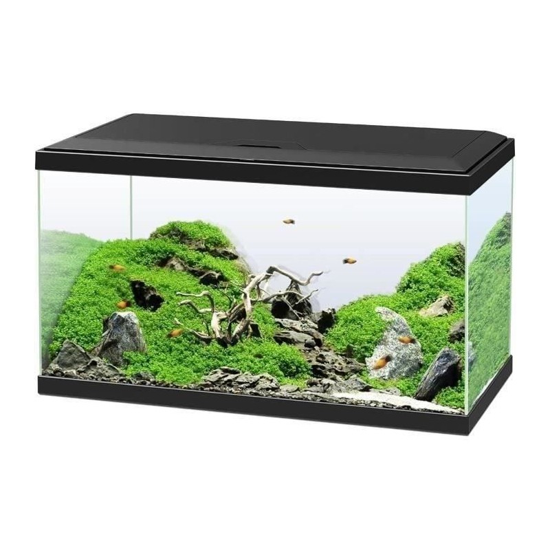 Aquarium - CIANO - 60 L - Filtre - LED - Chauffage - FOAM 30PPI - CF80