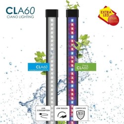 Aquarium - CIANO - 60 L - Filtre - LED - Chauffage - FOAM 30PPI - CF80