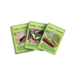 La maison des insectes CLEMENTONI