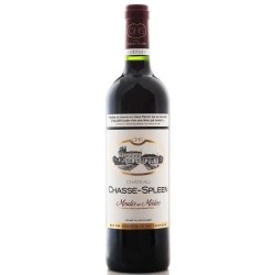 Château Chasse-Spleen 2021 Moulis en Médoc - Vin rouge de Bordeaux