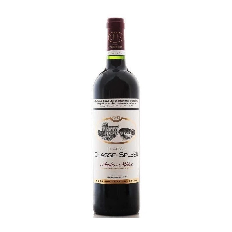 Château Chasse-Spleen 2021 Moulis en Médoc - Vin rouge de Bordeaux