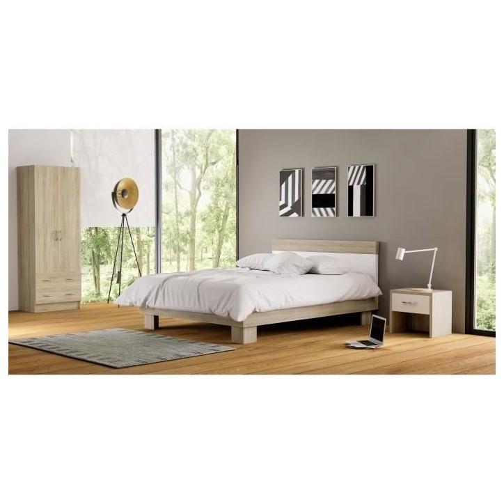 DEMEYERE Armoire - Décor chene brossé - 2 portes et 2 tiroirs - Classique - Chambre - L 61 cm - DUAL DEMEYERE Armoire - Décor chene brossé - 2 portes et 2 tiroirs - Classique - Chambre - L 61 cm - DUAL