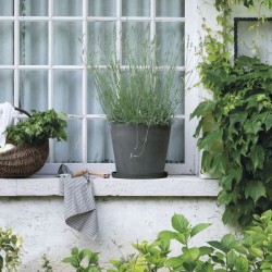 DEROMA Soucoupe Origin - 67 x h6 cm - Gris