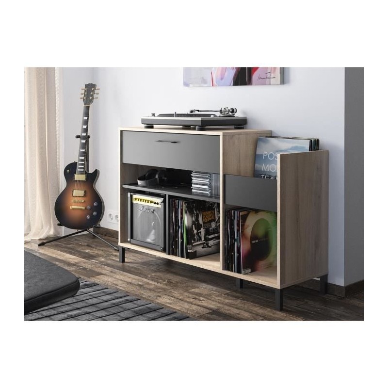 Meuble rangement vinyle - GAMI - Platine - Style urbain - Décor chene