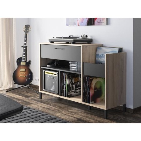 Meuble rangement vinyle - GAMI - Platine - Style urbain - Décor chene