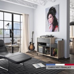 Meuble rangement vinyle - GAMI - Platine - Style urbain - Décor chene