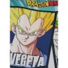 Coussin double face - Carré - DRAGON BALL Z - Microfibre - 40 x 40 cm Coussin double face - Carré - DRAGON BALL Z - Microfibre - 40 x 40 cm