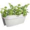 ELHO Balconniere Vibia Campana Flower Bridge 60 - Blanc - L 26 x W 59