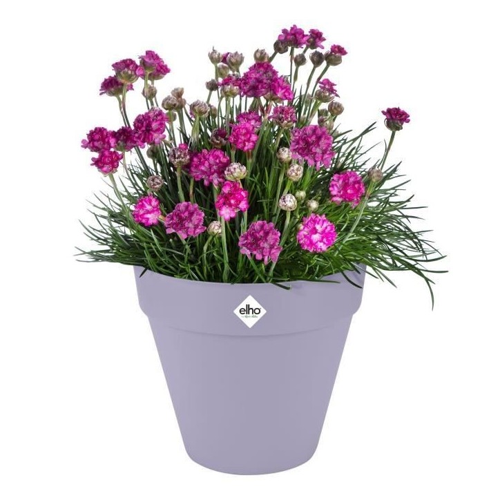 ELHO Pot de fleurs Loft Urban Rond avec roues - Violet - Ø 48.5 x H 45 cm - Extérieur - 100% recyclé ELHO Pot de fleurs Loft Urban Rond avec roues - Violet - Ø 48.5 x H 45 cm - Extérieur - 100% recyclé