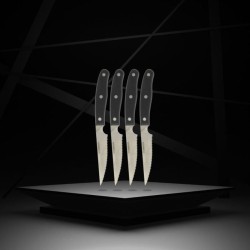 Lot de 4 couteaux a steak - NIROSTA - 22 cm