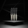 Lot de 4 couteaux a steak - NIROSTA - 22 cm