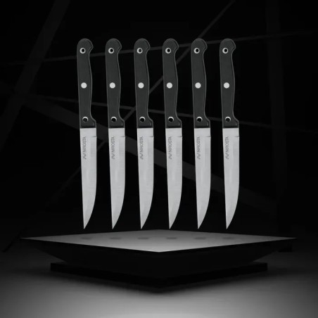 Lot de 6 couteaux a steak - NIROSTA - 21 cm