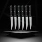 Lot de 6 couteaux a steak - NIROSTA - 21 cm Lot de 6 couteaux a steak - NIROSTA - 21 cm