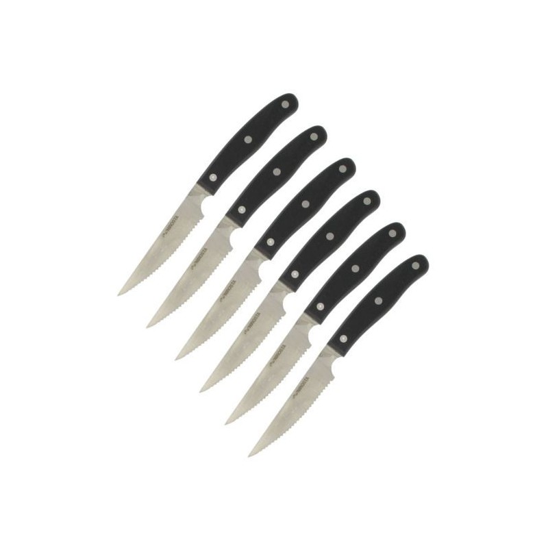 Lot de 6 couteaux a steak - NIROSTA- 22 cm