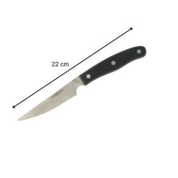 Lot de 6 couteaux a steak - NIROSTA- 22 cm