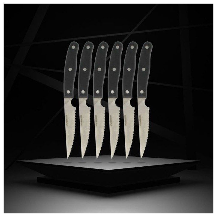 Lot de 6 couteaux a steak - NIROSTA- 22 cm Lot de 6 couteaux a steak - NIROSTA- 22 cm