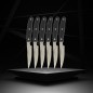 Lot de 6 couteaux a steak - NIROSTA- 22 cm