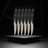 Lot de 6 couteaux a steak - NIROSTA- 22 cm