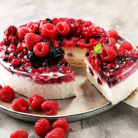 Plaque de cuisson avec couvercle et moule a manqué - DR oeTKER - Bake and Go - 42 x 29 cm