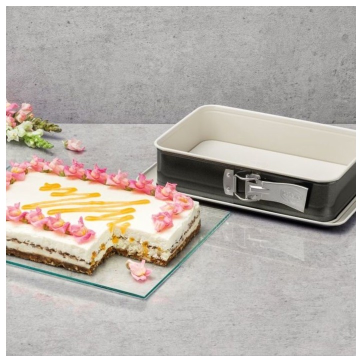 Moule a manqué et moule rectangulaire - DR oeTKER - Back Trend - 28 cm et 28 x 18 cm Moule a manqué et moule rectangulaire - DR oeTKER - Back Trend - 28 cm et 28 x 18 cm