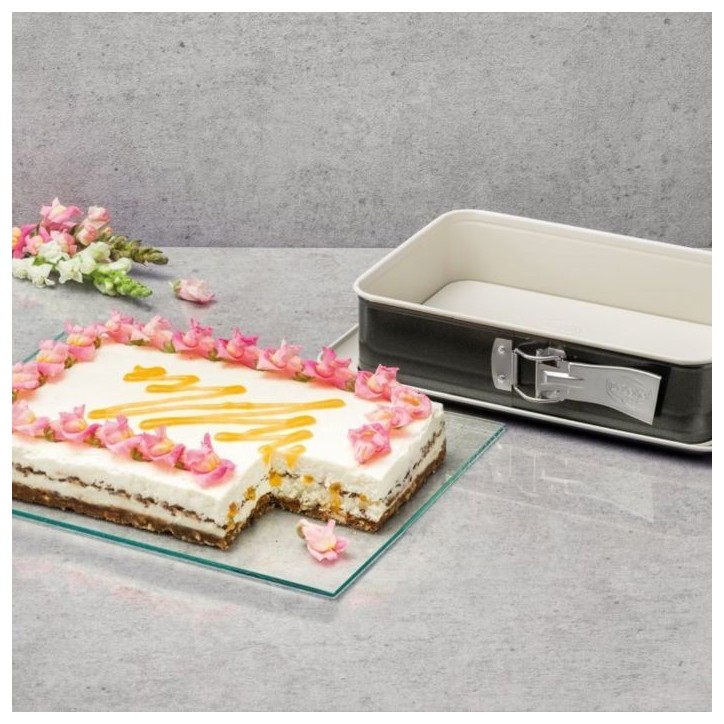 Moule a cake et moule a gâteau rectangulaire - DR oeTKER - Back Trend - 30 cm et 28 x 18 cm Moule a cake et moule a gâteau rectangulaire - DR oeTKER - Back Trend - 30 cm et 28 x 18 cm