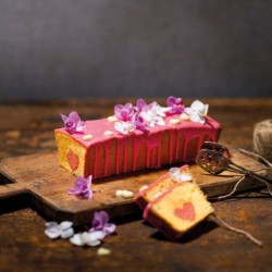 Moule a cake et moule a gâteau rectangulaire - DR oeTKER - Back Trend