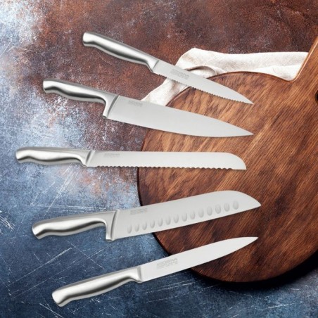 Ensemble de 5 couteaux de cuisine professionnels - NIROSTA - Inox - 24 a 33,5 cm