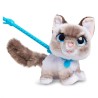 Jouet interactif - FURREAL FRIENDS - Chaton Grand Marcheur 23 cm - Ani Jouet interactif - FURREAL FRIENDS - Chaton Grand Marcheur 23 cm - Ani