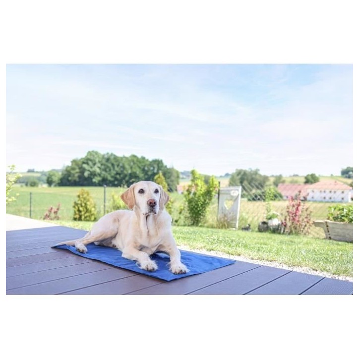 Tapis rafraîchissant - KERBL - CoolRelax - 50 x 40 cm - Bleu