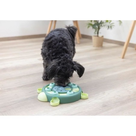Jeu de réflexion/apprentissage - KERBL - Turtle - Ø 25 cm - Turquoise