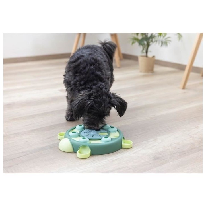 Jeu de réflexion/apprentissage - KERBL - Turtle - Ø 25 cm - Turquoise