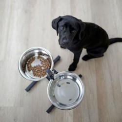 Kerbl Mangeoires d'animaux de compagnie avec support 2x2,8 L 43cm Noir