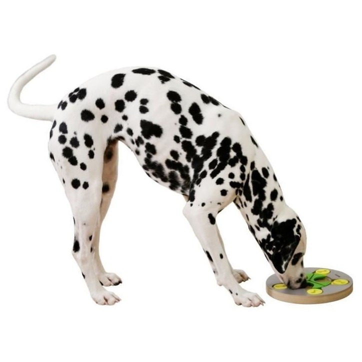 Jeu de réflexion/apprentissage - KERBL - Switch - Ø25 cm Jeu de réflexion/apprentissage - KERBL - Switch - Ø25 cm