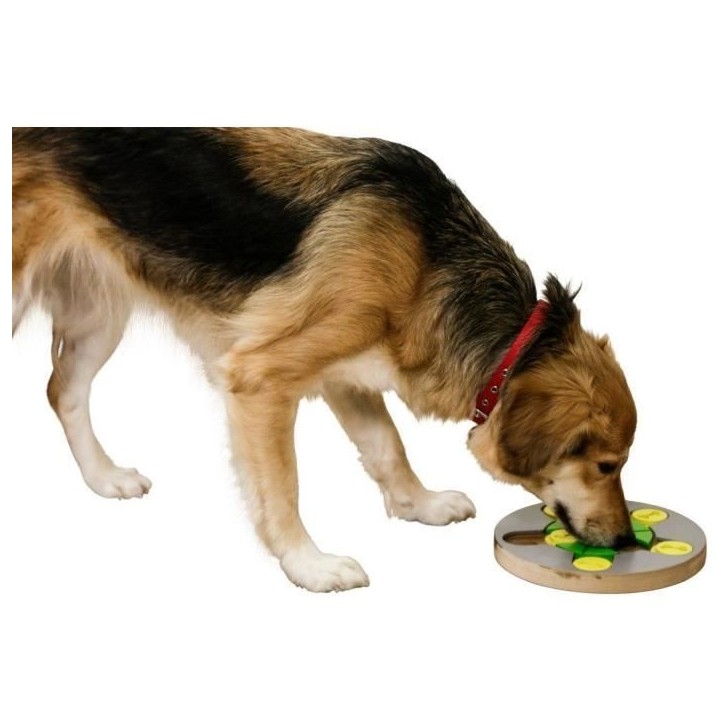 Jeu de réflexion/apprentissage - KERBL - Switch - Ø25 cm Jeu de réflexion/apprentissage - KERBL - Switch - Ø25 cm