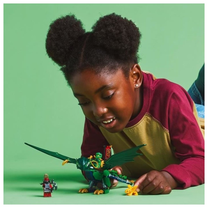 LEGO NINJAGO 71829 Le dragon vert de la foret de Lloyd - Jeu de construction des 6 ans LEGO NINJAGO 71829 Le dragon vert de la foret de Lloyd - Jeu de construction des 6 ans