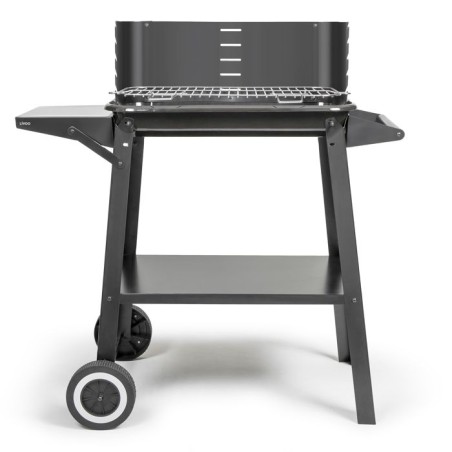 Barbecue a charbon - LIVOO - DOC328 - Inox - Surface de cuisson 48,5 x